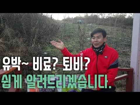 유박~ 비료?퇴비? 핵심만 쉽게 알려드리겠습니다.