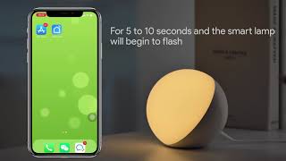 Hifree LT-T21 How to connect the lamp with the smart life app screenshot 2