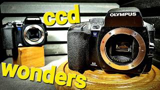 I Got a €15 DSLR in 2026... Is it Usable?