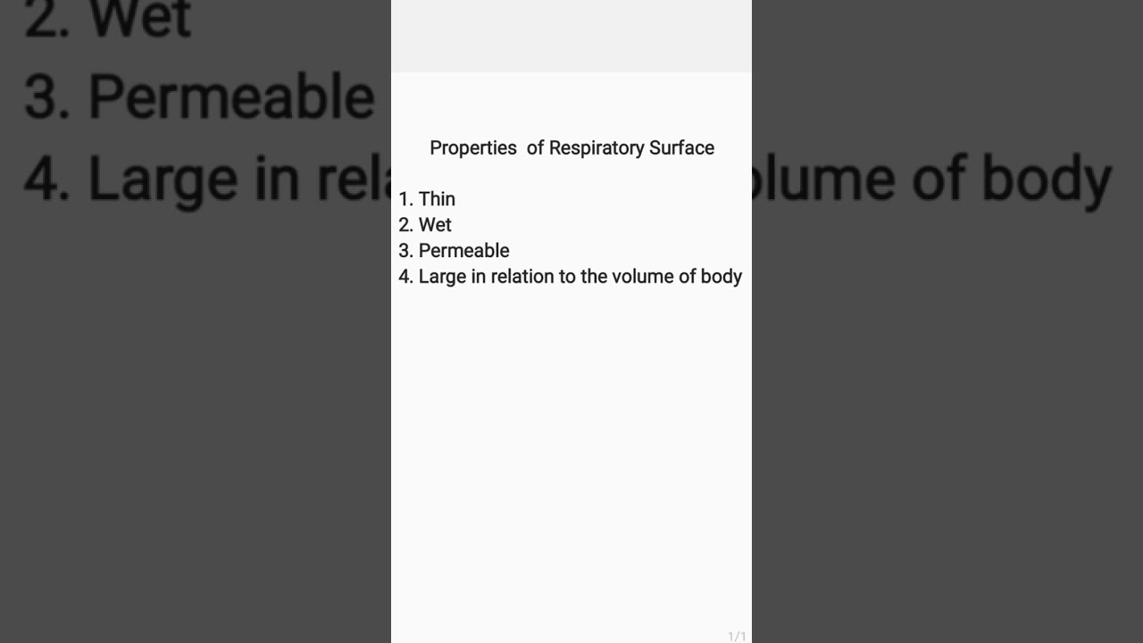 Properties of Respiratory Surface 