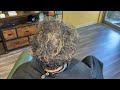 We colored her gray hair orange and blonde | gray hair short cut