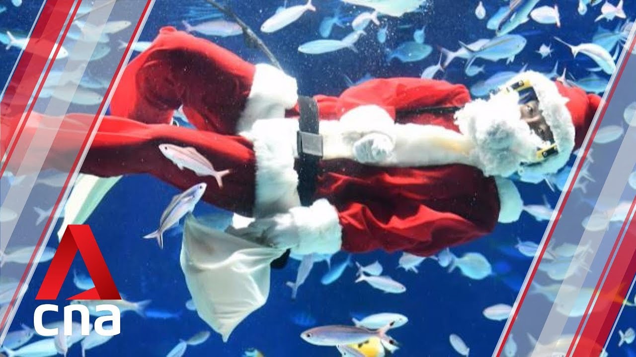 Divers dressed as Santa Claus and reindeer perform at Sunshine Aquarium in Tokyo