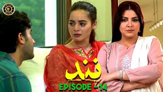 Nand Episode 14 | Minal Khan & Shehroz Sabzwari | Top Pakistani Drama