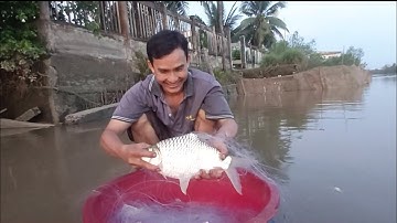 Thả lưới trôi hốt được con mè dinh quá khủng 