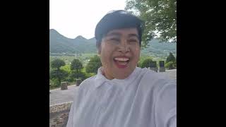S.Korea 8.30.2026 What a nice Feelings ng pgyakap ng kahoy try mo ba