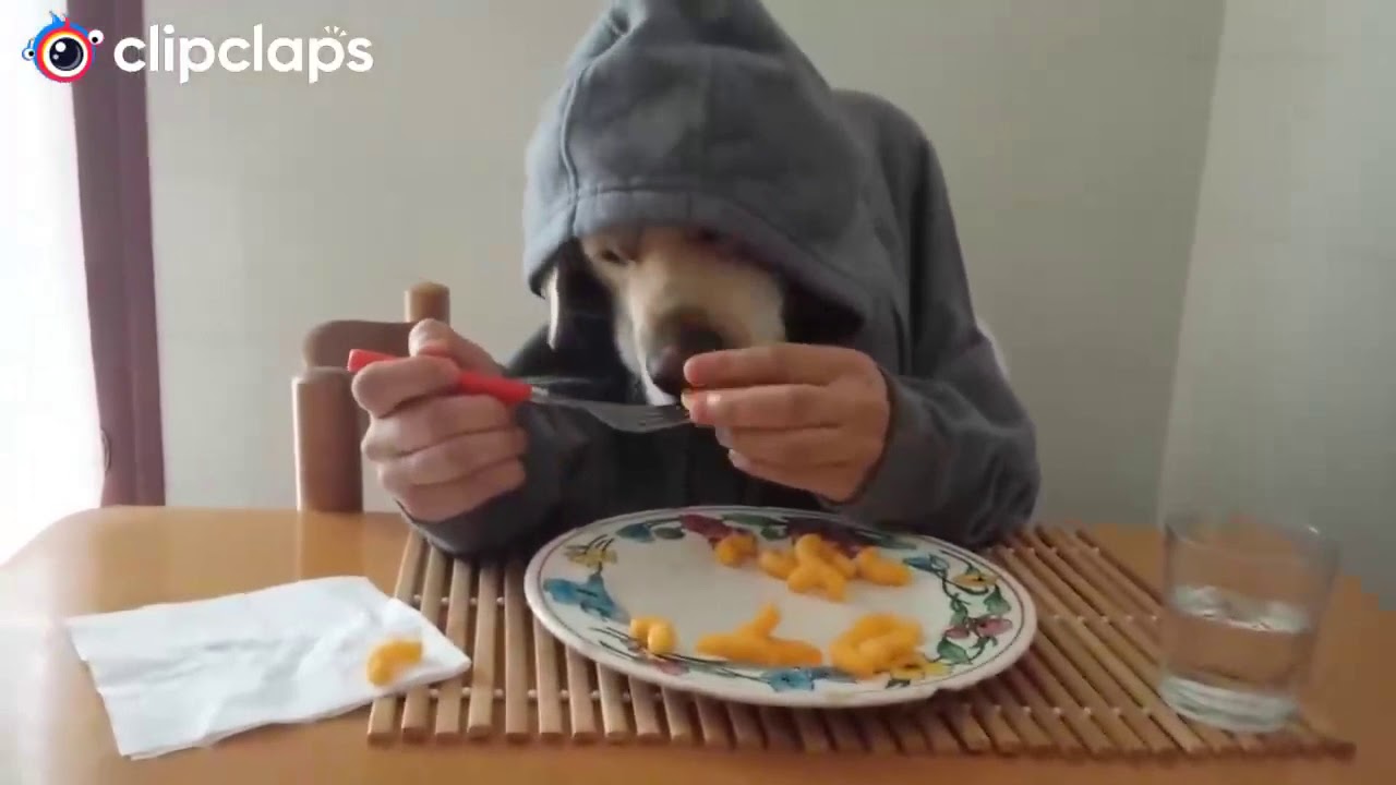 Videos comicos(3) - YouTube