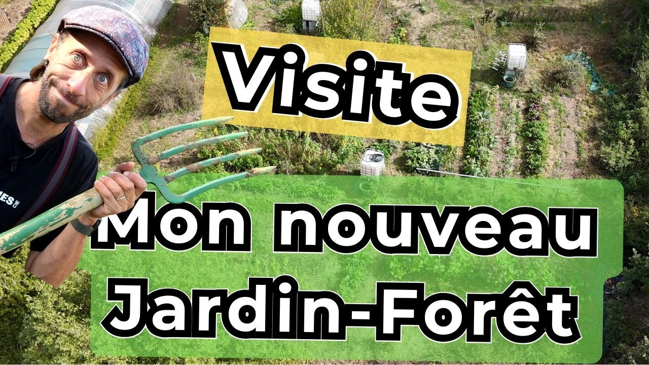 Visite de mon nouveau jardin forêt. Comment tout à commencé