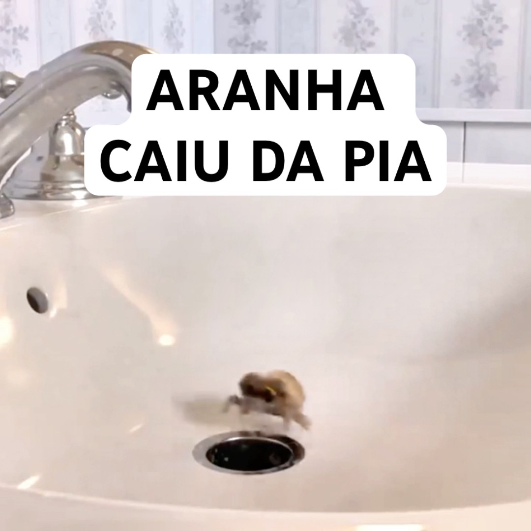 COITADA DA ARANHA CAIU DA PIA #shorts