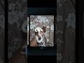 white snake on hand @Samsung AI Generated Snake 🐍 | Samsung S24 FE Magic | Mobile AI Edit