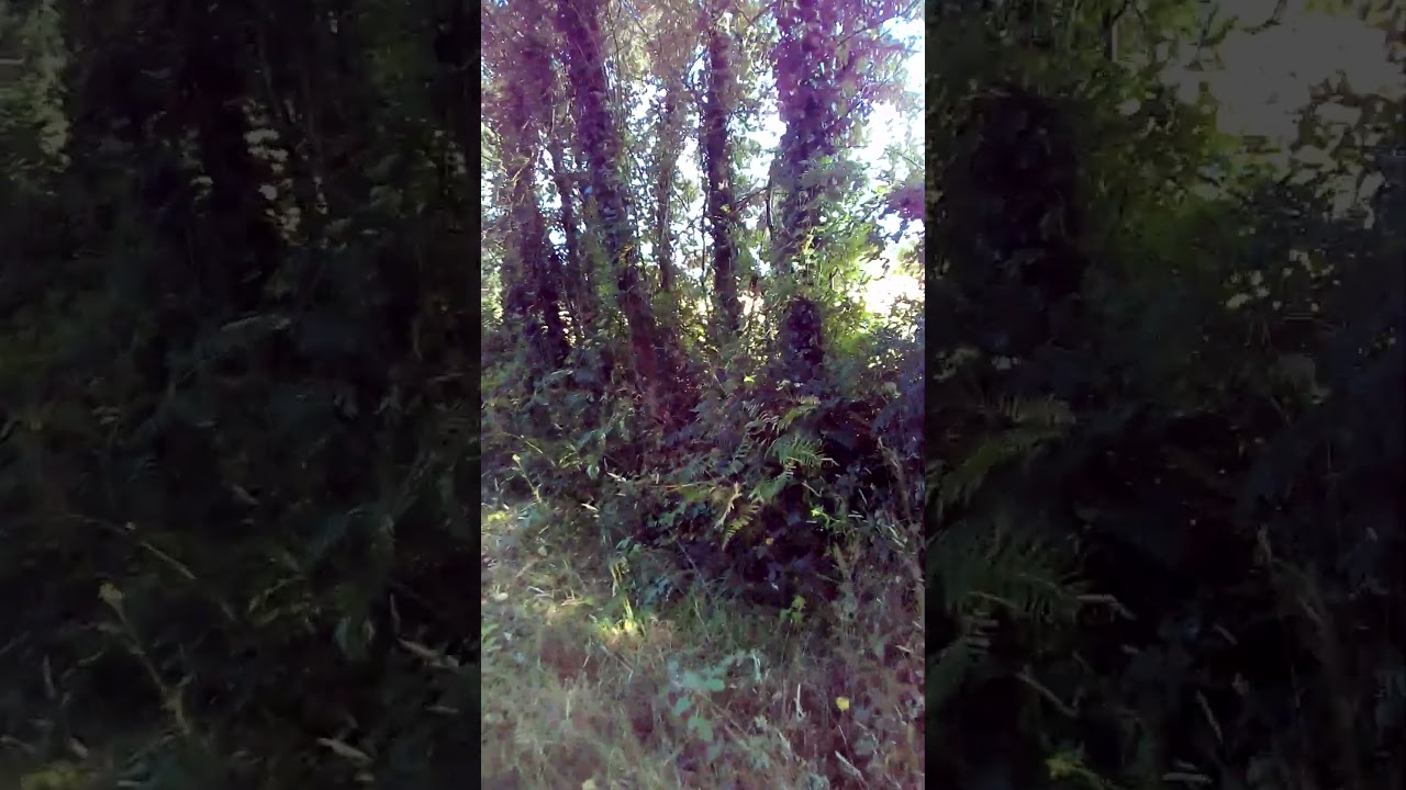 La précarité n'est pas une excuse valable !