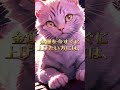 ※金運猫に選ばれたあなたの金運が上昇します ■フォローで金運が爆上がり