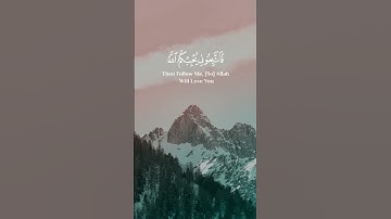 تلاوة عطرة للقرآن الكريم