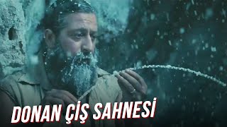 Donan Çiş Sahnesi A.r.o.g