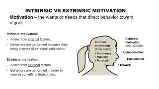 Intrinsic and Extrinsic Motivation