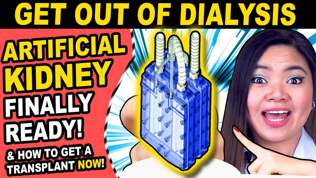 This Changes Everything - BioArtificial KIDNEY Now Working (for the ...