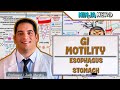 Gastrointestinal  GI Motility of the Esophagus & Stomach
