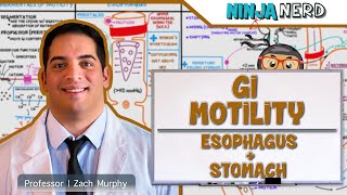 Gastrointestinal | GI Motility of the Esophagus \u0026 Stomach