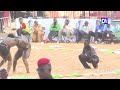 Boy Jules vs Boy Diobass « Door Mou Danou…» : retour sur un duel intense et plein de rebondissements