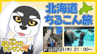 犬民ルキの今夜もおしゃべりワンワン 2025/02/20 北海道ちるこん旅 編