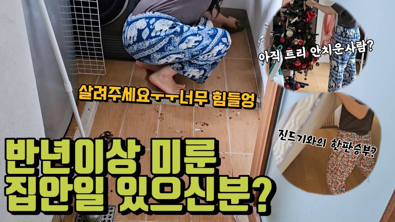 6개월 이상 미룬 살림하다 요절하기 직전 ㅣ여름 집청소|썩어가는 다용도실,썩어가는 어항, 썩어가는 매트, 썩어가는 창틀 청소.