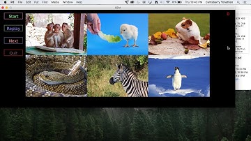Animal Sound Guessing Game DEMO PureData