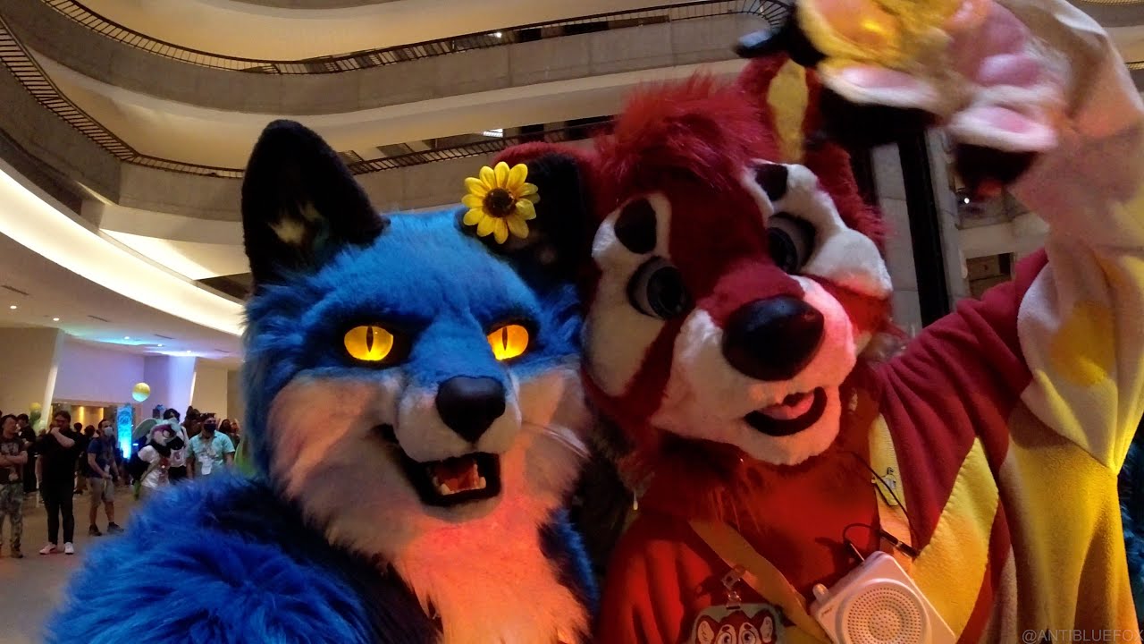 FWA 2022 - Anti's Convention Clips