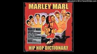 Marley Marl - Haters (Ft LL Cool J)