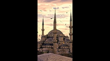 سورة النازعات - مشاري العفاسي تلاوة صباحية هادئة ورائعة