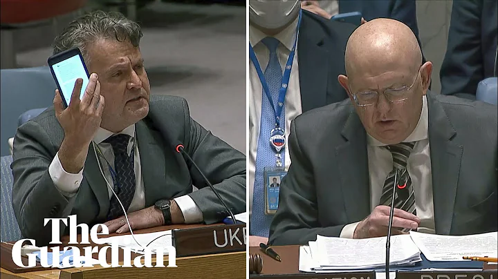 Tense exchanges between Ukraine and Russia at UN security council - DayDayNews