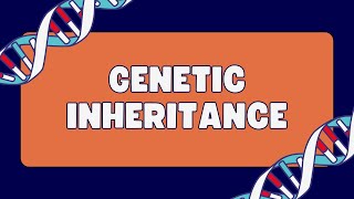 Codominance practice problem