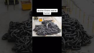 ❗Thing that bigger than u think ❗😳 (scary tiktok) #shorts