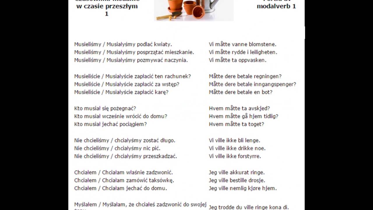 81  -  100   Norske uttrykk  1