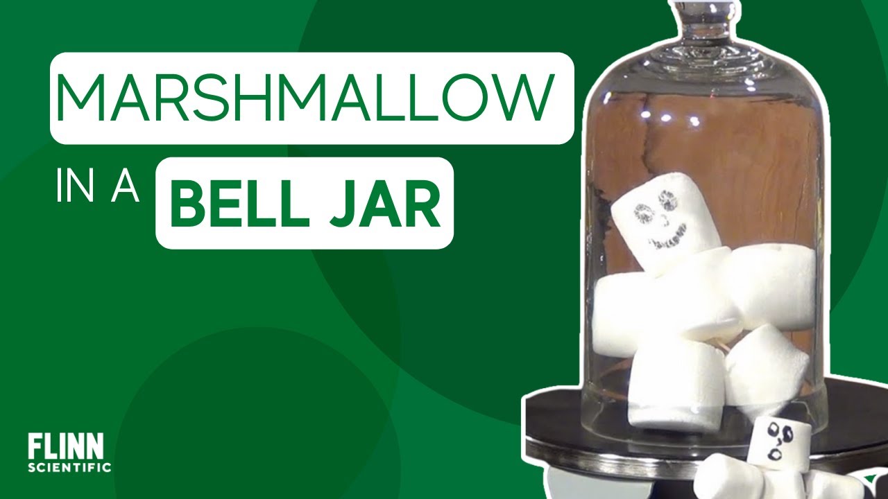 Marshmallow in a Bell Jar YouTube