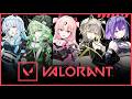 【VALORANT】あの、、1年ぶりです。生暖かい目で見守ってください【#鈴莉れん】【#ぷろねぶ 】