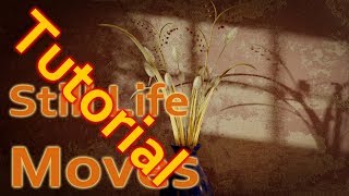 Blender Tutorial - Animated Still Life