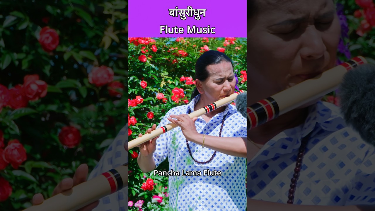 Relaxing Flute Music | Bansuridhun | Bird Sound With Nature | Instrumental #flute #flutemusic #short