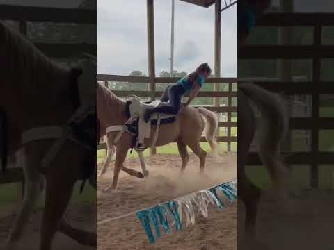 Horse Balls #shorts #memes