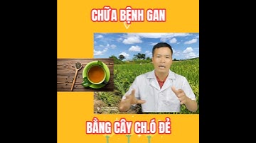 Chữa bệnh Gan bằng Cây Ch.ó đẻ răng cưa|Trần Văn Luận