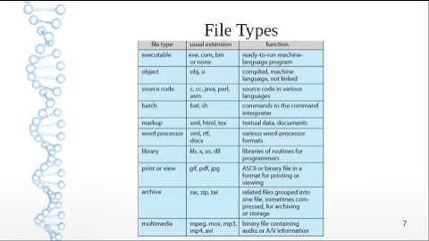 Chapter 11 - File-System Interface
