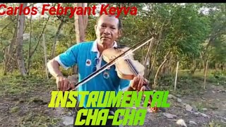 Instrumental Furak  Chacha  By  Ivo Teme