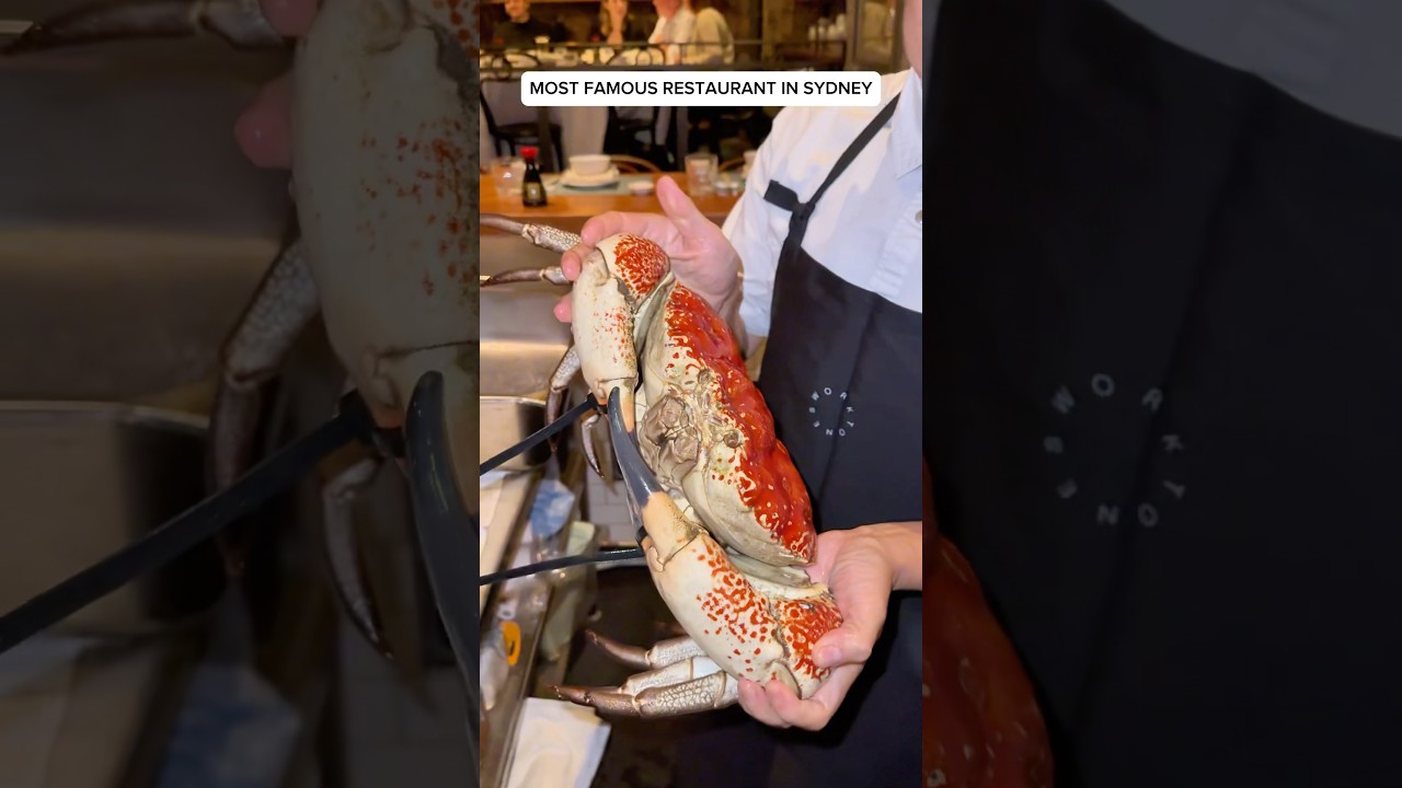 CRAZY $1500 CRAB at Sydney’s most famous restaurant #australia #sydney #shorts #food #foodie #crab