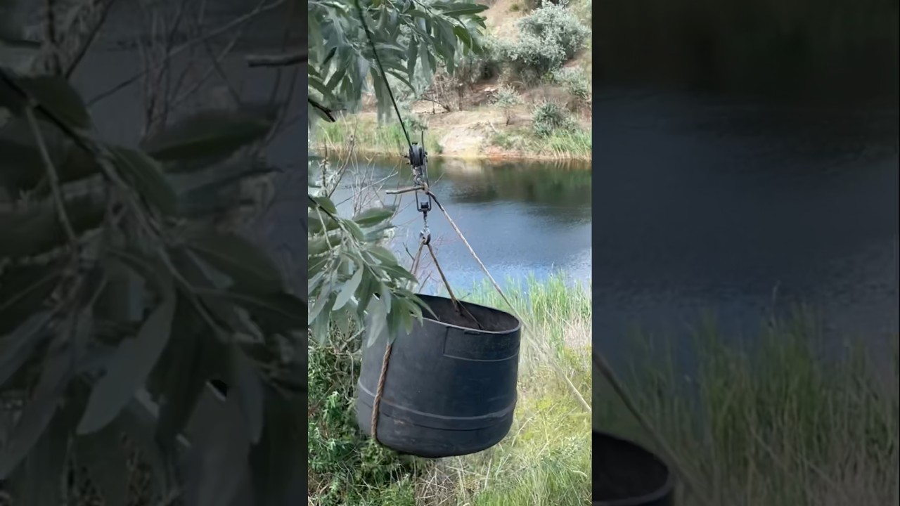 Karakum_outdoors