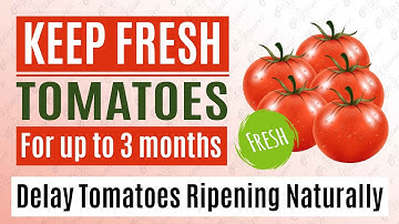 Best way to keep Tomatoes Fresh for a long time without freezing - Delay Tomato Ripening Naturally