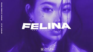 Video thumbnail of "Felina - Beat Reggaeton Instrumental Comercial (Prod. Karlek)"