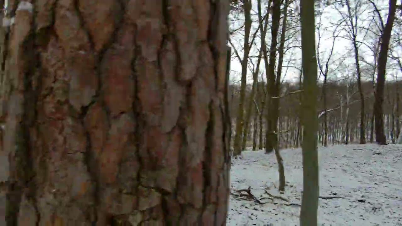 Promno- jezioro Drążynek- Promno 11