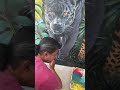 Tropical mural in Cemagi #mural #artist #painting #wallpainting #muralartist #balimural