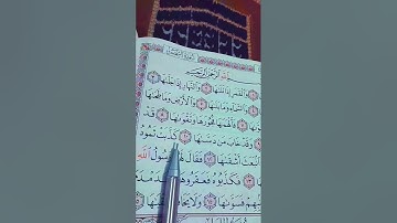 سورة الشمس الشيخ محمد الفقيه
