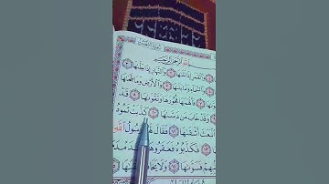 سورة الشمس الشيخ محمد الفقيه