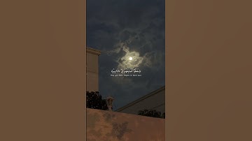 ﴿قَالَ رَبِّ إِنِّي دَعَوْتُ قَوْمِي لَيْلًا وَنَهَارًا﴾|تلاوة هادئة بصوت الشيخ#ماهر_المعيقلي #quran