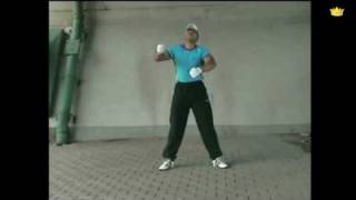 Mr. Electric Boogie, Perfect Moves